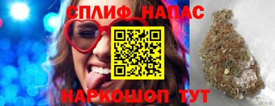 стафф Будённовск