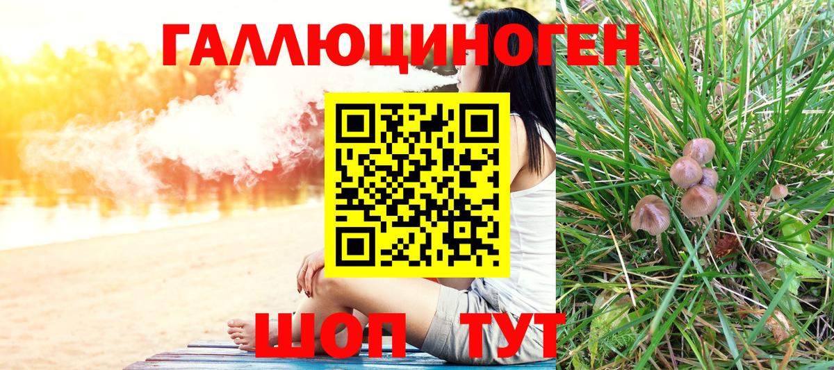 купить наркоту  Псилоцибиновые грибы Psilocybe  Вход с VPN  Махачкала  Галлюциногенные грибы MAGIC MUSHROOMS 